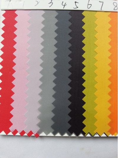 DG-BICG BC-2101 PL   背囊面料 側面照